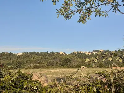a view of a field with trees in the background at Petit gîte et Grande piscine in Blauvac