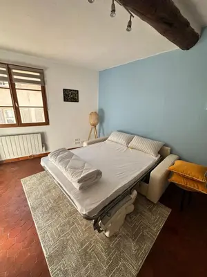 a hospital bed in a room with a rug at Aix Centre Rue d'Italie - T2 40m2 Rénové - à 2 pas du Cours Mirabeau in Aix-en-Provence