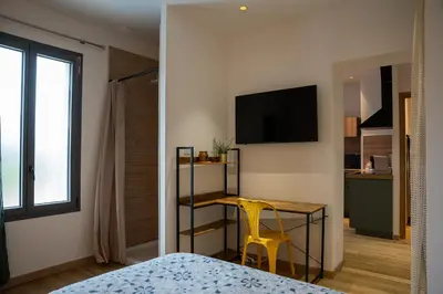 a bedroom with a bed and a desk and a television at La Maison PP - Appartements in Carpentras