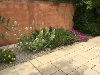 a garden with flowers on the side of a wall at Le Bois De La Cour in Roussillon