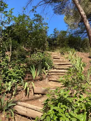 a set of stairs on a hill with trees at Le Cabanon d 'Aix in Aix-en-Provence