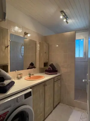 a bathroom with a sink and a washing machine at Maison Tamaris in LʼIsle-sur-la-Sorgue