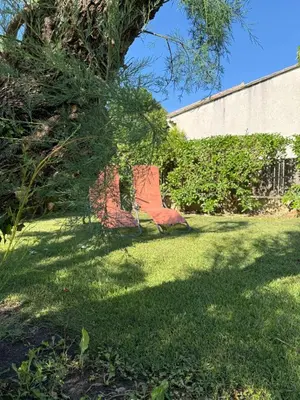 a tree sitting in the middle of a yard at Maison Tamaris in LʼIsle-sur-la-Sorgue