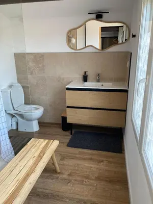 a bathroom with a sink and a toilet and a mirror at Les Elles du Moulin Avec Piscine in Vedène