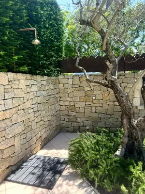 a stone wall with a tree in front of it at Chambre L in Les Taillades