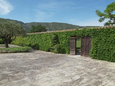 an ivy covered fence with a wooden door at Oppède Villa with Private Pool in Oppède