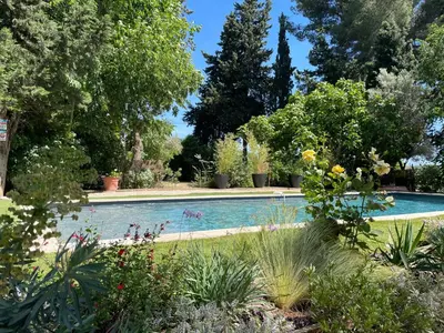 a swimming pool in a garden with plants at Tiny Aix - Maison Odonata in Aix-en-Provence