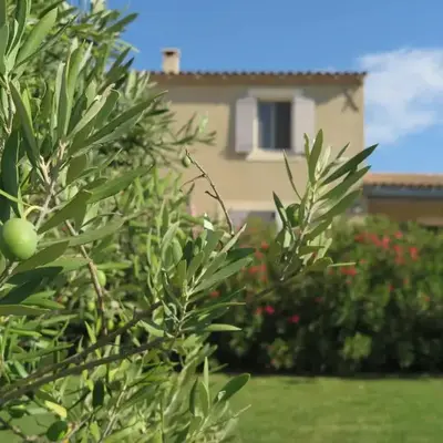Gite Le Petit Luberon LISIANTHUS