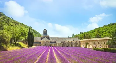 a large building with a field of purple flowers at Quiet house in provence in Lauris