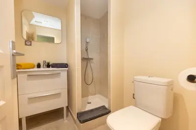 a small bathroom with a toilet and a shower at Le Romarin - Hypercentre Studio - Clim - WiFi in Apt