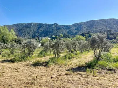 a field with trees and mountains in the background at Casa du Luberon in Maubec
