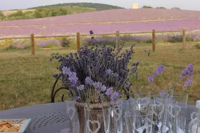 a table with glasses with purple flowers on a field at Domaine Château du Bois Provence in Lagarde-dʼApt