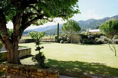 a large yard with a tree and a stone wall at Mas aux gourmandises in Oppède