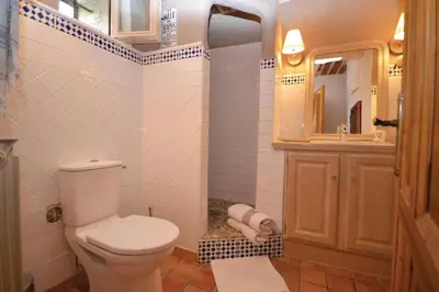 a bathroom with a toilet and a sink and a mirror at Mas Bosca Brun in Cheval-Blanc
