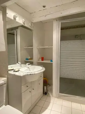 a white bathroom with a sink and a shower at Provencal Villa With Panoramic Views In Luberon in Apt