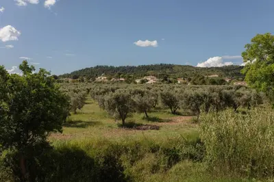 a field with trees and houses in the distance at Mas de l'Etoile in Aureille