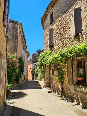 an alley in an old stone building with ivy at La tanière d'Agoult in Goult