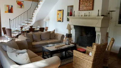 a living room with two couches and a fireplace at Bastide Clementine in LʼIsle-sur-la-Sorgue