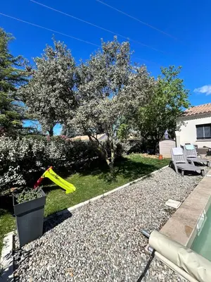 a garden with a yellow frisbee on the ground at Maison en Provence 7 personnes avec piscine in Carpentras