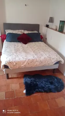 a bedroom with a bed with a blue rug on the floor at Chez Rachel in La Bastide-des-Jourdans