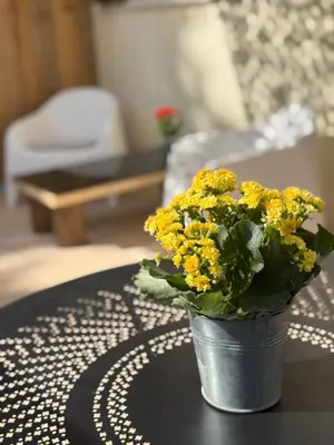 a vase of yellow flowers sitting on a table at Studio terrasse in Aix-en-Provence