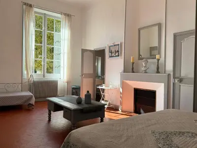 a living room with a fireplace and a couch at Domaine Régine in Le Puy-Sainte-Réparade