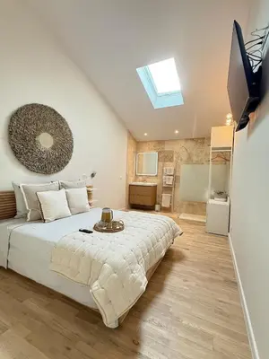 a bedroom with a bed and a skylight at Charmants duplex , Clim et Piscine in Aix-en-Provence