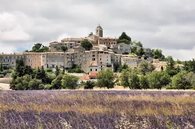 a town on top of a hill with a purple field at Appartement dans maison de caractère avec piscine in Banon