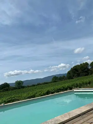 a blue swimming pool with a view of a vineyard at Peaceful Studio With Private Pool In Luberon in Ansouis