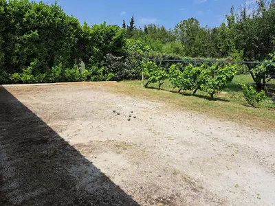 a group of birds sitting on a dirt field at Parenthèse à la Maison de Gilda in Eygalières