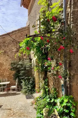 a garden with roses growing on the side of a building at Maison de village, piscine, Colorado in Rustrel