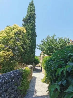 a path in a garden with trees and a wall at Trés jolie bastidon de village in Puyvert