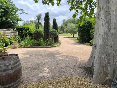 a garden with a tree and a dirt road at Gîte en Provence in Cavaillon