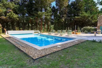 a swimming pool in a yard with trees at Le Gran Cabano sous les oliviers in Saint-Rémy-de-Provence