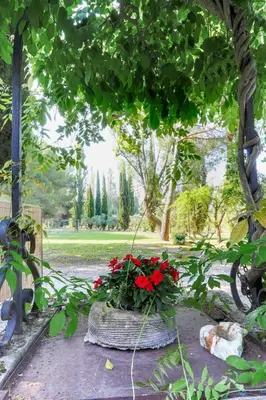 a basket filled with red flowers in a park at Le Gran Cabano sous les oliviers in Saint-Rémy-de-Provence