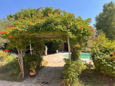 a garden with a pergola with flowers on it at Maison 2 ch en campagne 5 mn du centre en voiture avec possibilité piscine familiale in Salon-de-Provence