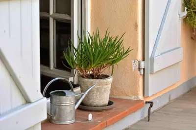 a potted plant on a window sill next to a door at Large studio with terrace and air conditioning in Aix-en-Provence