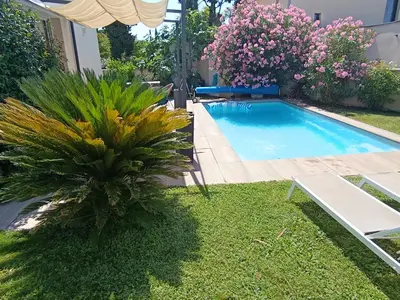 a swimming pool in a yard with a plant at Villa KAMARO in LʼIsle-sur-la-Sorgue