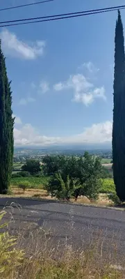 an empty road with trees on the side of the road at La Clemensane in Lacoste