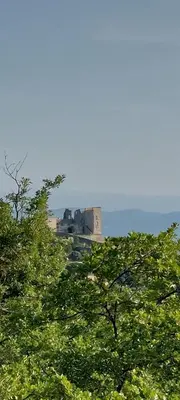 a castle in the distance behind some trees at La Clemensane in Lacoste