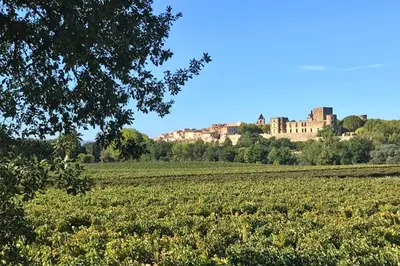 a large field with a castle in the background at Chez Pascal et Marion in La Tour-dʼAigues