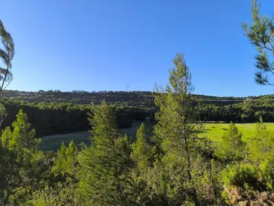 a view of a river through the trees at Evasion sous les pins in Aurons