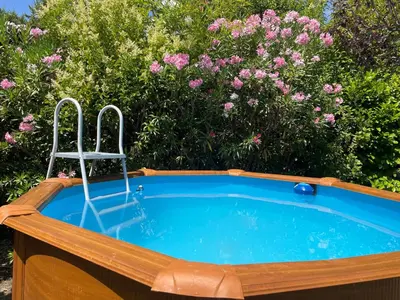 a hot tub with a chair in front of flowers at Maison provençale avec jardin et piscine à Lambesc in Lambesc