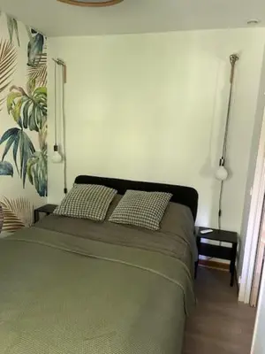 a bedroom with a green bed with two pillows at Cocon douillet près du Cours Sextius in Aix-en-Provence