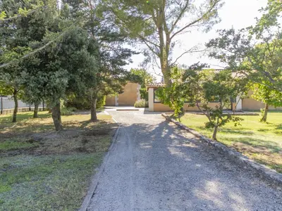 a dirt road in a park with trees at Villa A l'Ombre du Soleil by Interhome in Monteux