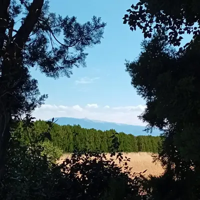 a view of a forest with mountains in the background at Villa Bulle de raisin in LʼIsle-sur-la-Sorgue