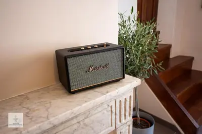 a television sitting on a counter next to a potted plant at Maison des Chaudronniers in Aix-en-Provence