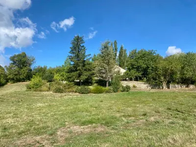 a field of grass with trees in the background at Le Pré de la Reyne in Sault-de-Vaucluse