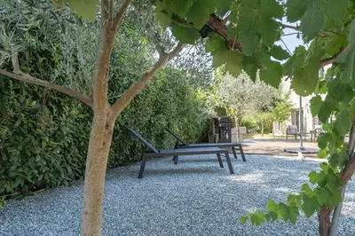 a picnic bench sitting next to a tree at Villa le Trèfle with pool in Velaux