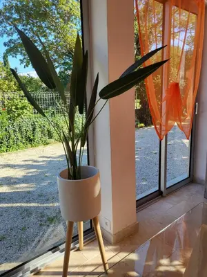 a plant in a pot on a stand next to a window at Maison BRIALI avec Jacuzzi espace détente in Aubignan